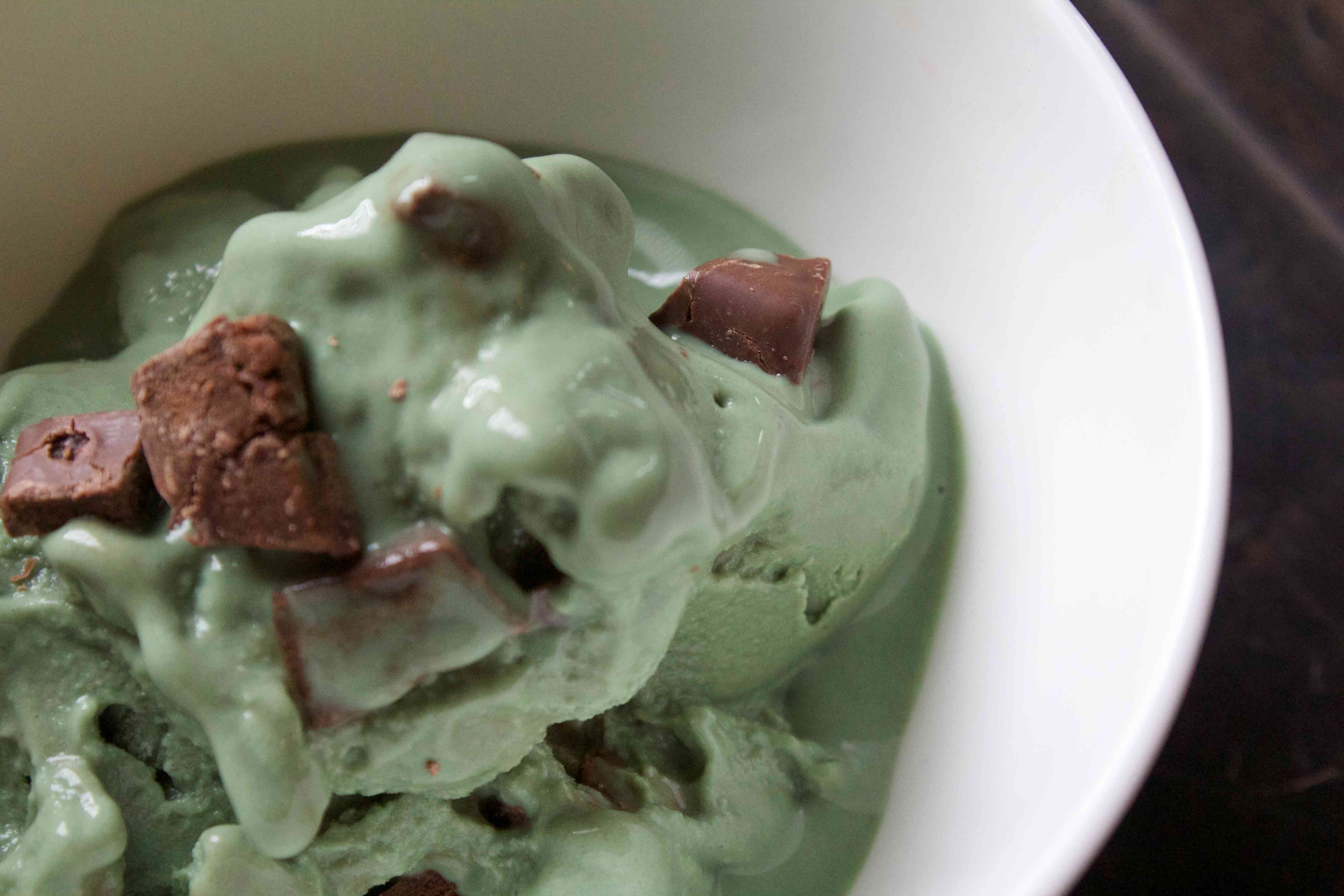 Mint Chocolate Chunk Protein Ice Cream. Uses Greek Yogurt and Sugar-Free Syrups to keep it low carb and weight loss surgery friendly!