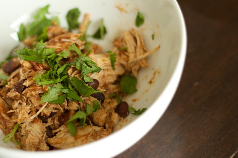 WLS Recipe for Tex Mex Chicken in the Crockpot 
